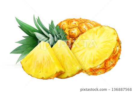 Pineapple illustration pineapple realistic 136887568