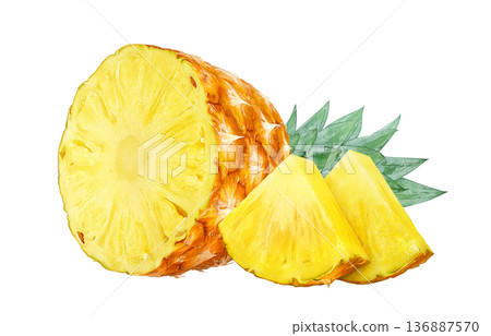 Pineapple illustration pineapple realistic 136887570