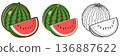 watermelon   136887622