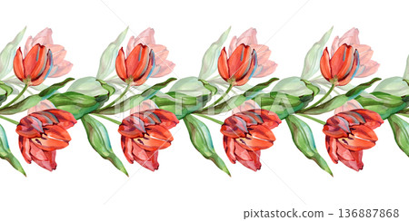 Hand-painted watercolor seamless border of vibrant red tulips and green leaves. This elegant horizontal floral ornament is perfect for spring wedding invitations, stationery, and botanical framing. 136887868