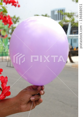 Multicolor Air Balloons 136888051