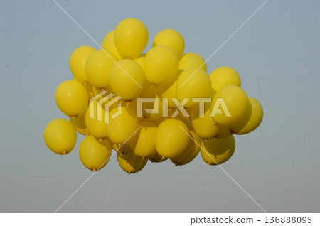 Multicolor Air Balloons 136888095