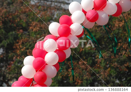 Multicolor Air Balloons Multicolor Air Balloons 136888164