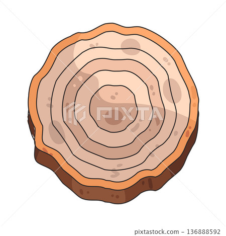Illustration of tree ring Illustration of tree ring 136888592