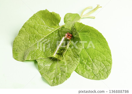 Agrimony essential oil bottle placed on large green burdock leaves Healthy natural remedy Agrimony essential oil bottle placed on large green burdock leaves Healthy natural remedy 136888786