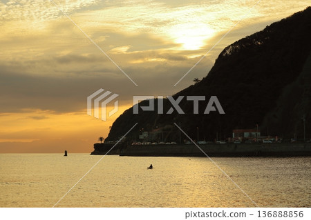 A late-summer beach bathed in golden light A late-summer beach bathed in golden light 136888856