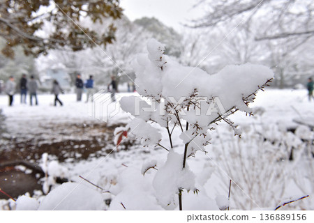 孩子在雪地裡玩耍，雪越積越多。 136889156