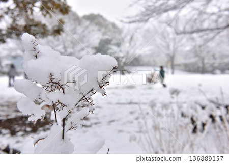 孩子在雪地裡玩耍，雪越積越多。 136889157