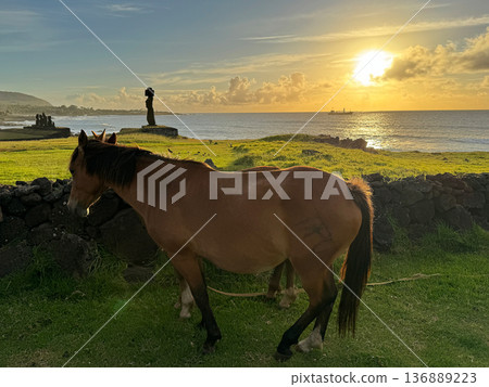 復活節島的馬,塔海祭祀村落的日落 復活節島的馬,塔海祭祀村落的日落 136889223