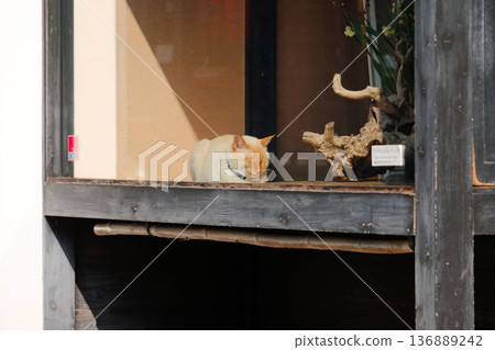 Sunny place 136889242