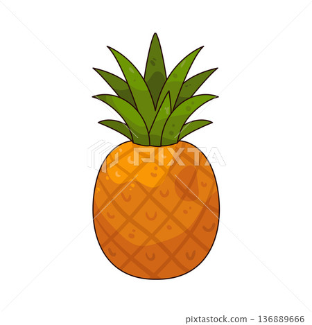 Illustration of Pineapple Illustration of Pineapple 136889666