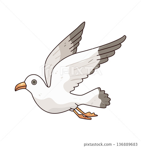 Illustration of seagull 136889683