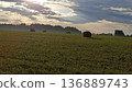 A serene countryside scene showcasing a vast field of hay bales, framed by a lush forest and a partly cloudy sky. This image captures the essence of rural tranquility and natural beauty. 136889743