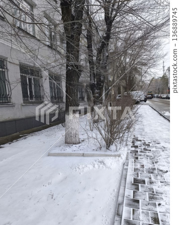A serene winter scene with a snow-covered sidewalk and trees lining the street. The image showcases a peaceful urban area in winter, perfect for tourism brochures and background use. 136889745