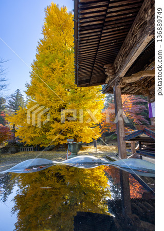 埼玉縣東松山市岩殿 岩殿觀音 岩殿山正法寺 觀音堂,背光黃葉,秋缽缽裡倒立的秋葉 埼玉縣東松山市岩殿 岩殿觀音 岩殿山正法寺 觀音堂,背光黃葉,秋缽缽裡倒立的秋葉 136889749