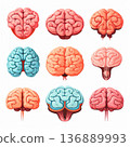 Nine Colorful Brain Illustrations on White Background. Brain Power and Mental Health Concept. 136889993