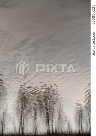 Reflections of Trees and Cloudy Sky on Tranquil Water Surface During Early Morning Reflections of Trees and Cloudy Sky on Tranquil Water Surface During Early Morning 136890225