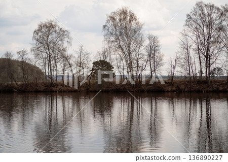 Reflections of Bare Trees on a Calm River in Early Spring Near a Quiet Woodland Area Reflections of Bare Trees on a Calm River in Early Spring Near a Quiet Woodland Area 136890227