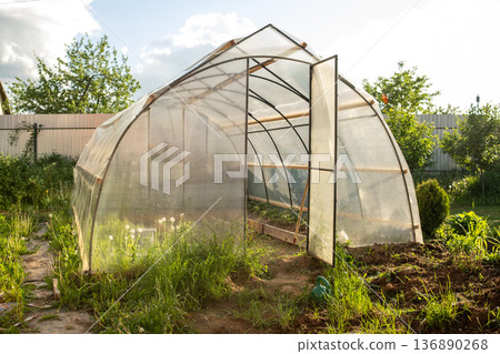 Greenhouse in a Backyard Garden on a Sunny Afternoon Surrounded by Greenery and Plants 136890268