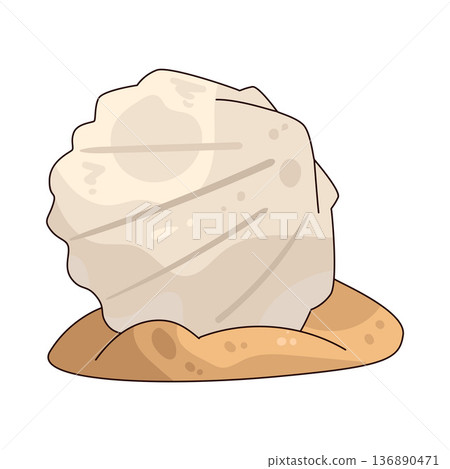 Illustration of Seashell 136890471