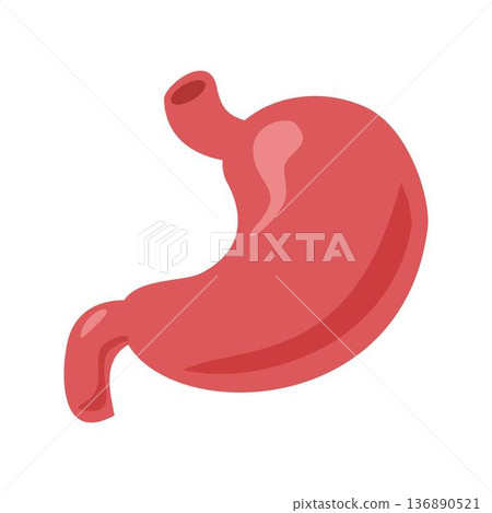 Stomach human Organ, Stomach heartburn design Stomach human Organ, Stomach heartburn design 136890521