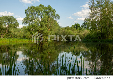 Calm Waters Reflect Greenery at a Serene Riverside Location Under a Clear Blue Sky Calm Waters Reflect Greenery at a Serene Riverside Location Under a Clear Blue Sky 136890633
