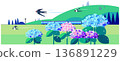 An early summer landscape illustration of a blue train running along the tracks with blooming hydrangeas and flying swallows 136891229