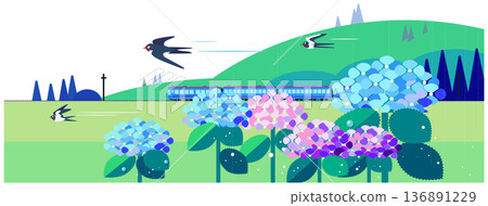 An early summer landscape illustration of a blue train running along the tracks with blooming hydrangeas and flying swallows 136891229