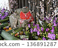 Spring in Kyoto at Kitano Tenmangu Shrine: A cow with a bib and a flower water fountain 136891287