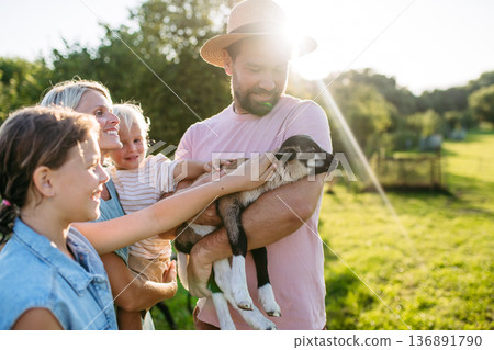Family petting little goat at farm. Family petting little goat at farm. 136891790