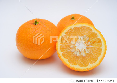 天夏蜜柑 136892063