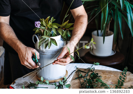 Hands use green shears to trim long leafy branch above white fluted metal jug filled with flowers. biophilic healing, urban oasis, mental wellness at home, plant-based interior 136892283