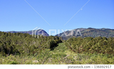 新潟縣湯澤市神樂滑雪場的秋季景色 新潟縣湯澤市神樂滑雪場的秋季景色 136892917