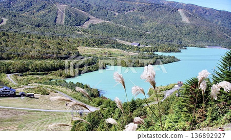新潟縣湯澤市神樂滑雪場的田代湖,秋景 新潟縣湯澤市神樂滑雪場的田代湖,秋景 136892927