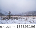 日光戰場原的冬季景色 136893196
