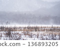 日光戰場原的冬季景色 136893205