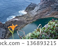 神津島千兩池 136893215