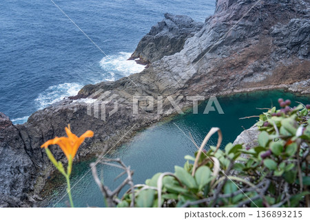 Senryoike Pond on Kozushima Island Senryoike Pond on Kozushima Island 136893215