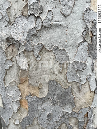 Map-like wooden surface Map-like wooden surface 136893221
