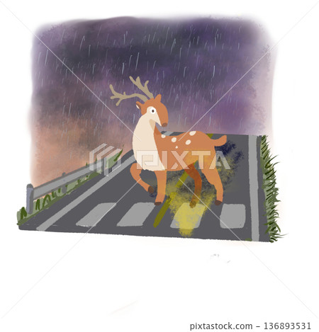 Beware of deer jumping out on rainy nights 136893531