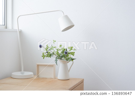 Room with ornamental plants 136893647