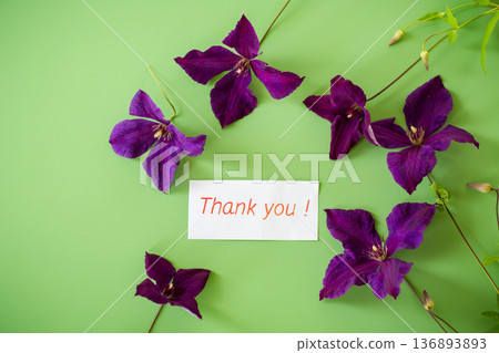 Decorated branch of clematis on bright green background from above Decorated branch of clematis on bright green background from above 136893893