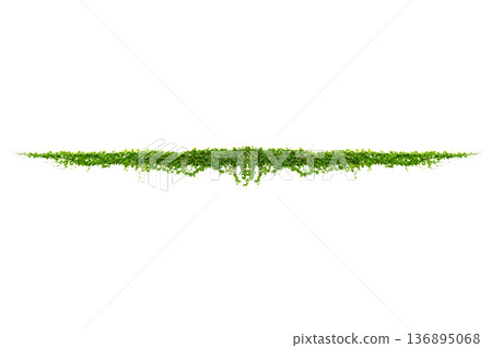Green creeper plant frame isolated on transparent background for decoration PNG Green creeper plant frame isolated on transparent background for decoration PNG 136895068