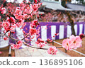 Kyoto "Kitano Tenmangu Shrine" Plum blossoms blooming in spring Red plum blossoms in full bloom 136895106