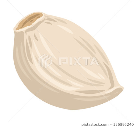 Whole garlic clove vector food illustration for market design. Spice ingredient in cartoon doodle style for vegetable menu. Realistic fresh plant for cooking template or organic farm graphic element. 136895240