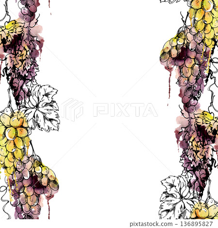 Seamless banner of ripe grape clusters on trailing leafy vine in ink outline with watercolor bleed backdrop. Isolated illustration hand drawn for winery stationery, product trims, fruit drink menu Seamless banner of ripe grape clusters on trailing leafy vine in ink outline with watercolor bleed backdrop. Isolated illustration hand drawn for winery stationery, product trims, fruit drink menu 136895827