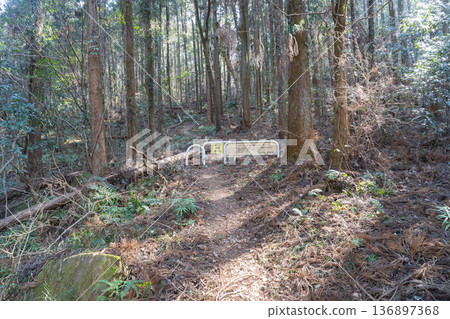 前往雷電山（位於鈴目川水壩附近，埼玉縣比企郡時川町）的健行路線 136897368