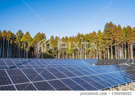 安裝在針葉樹叢中的太陽能板 安裝在針葉樹叢中的太陽能板 136898082