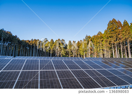Solar panels installed among coniferous trees Solar panels installed among coniferous trees 136898083
