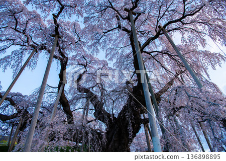 Miharu Takizakura, Miharu Town, Tamura District, Fukushima Prefecture 136898895